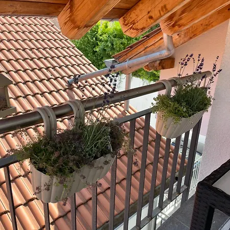 Dachterrassen-oase Pfaelzer Wald & Weinregion * Dorrenbach