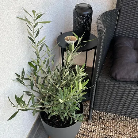 Apartment Dachterrassen-oase Pfaelzer Wald & Weinregion Dorrenbach